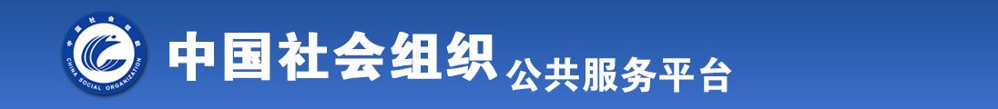 www.操b全国社会组织信息查询